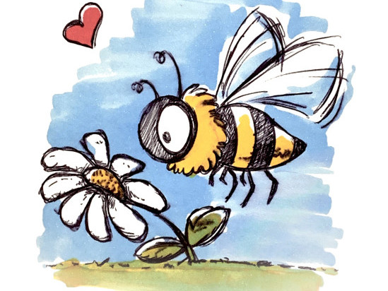 Das faszinierende Leben der Honigbiene